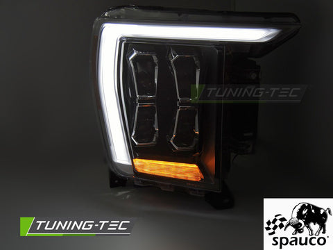 Faros Ford F150